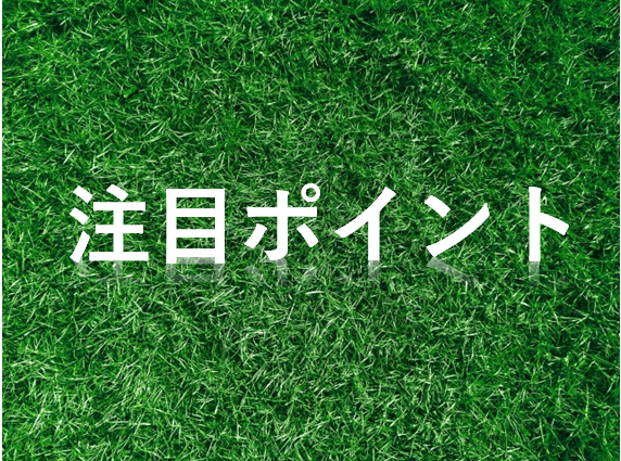 日本代表vsオランダのテレビ放送とネット中継について サッカーu17ワールドカップ